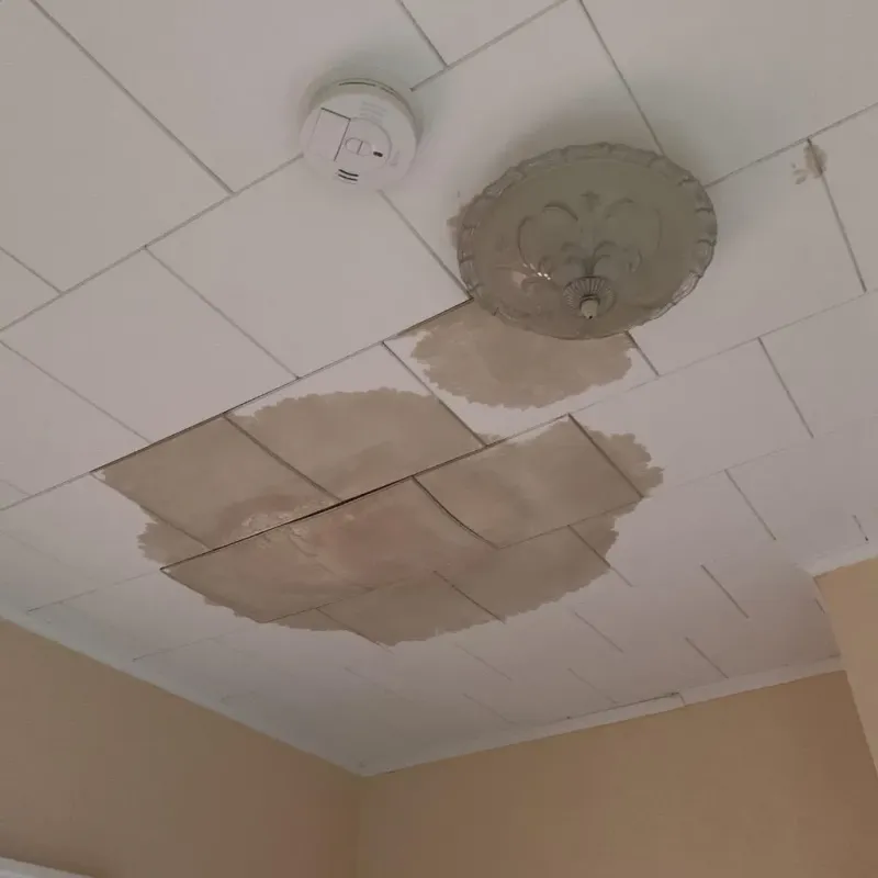 Ceiling Water Damage Repair in Smith County, KS