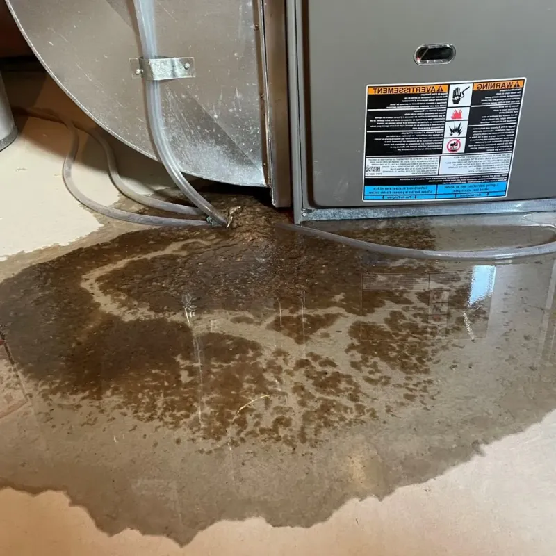 Pipe Burst and Leak Restoration in Smith County, KS