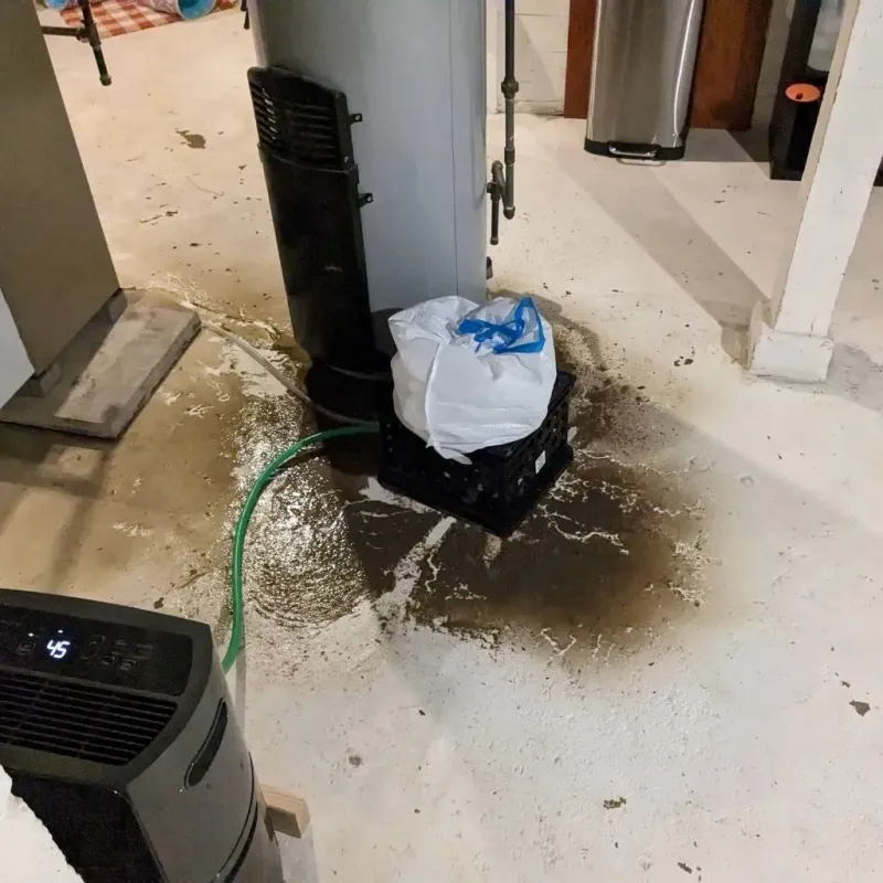 Sewage Backup Cleanup Service in Smith County, KS